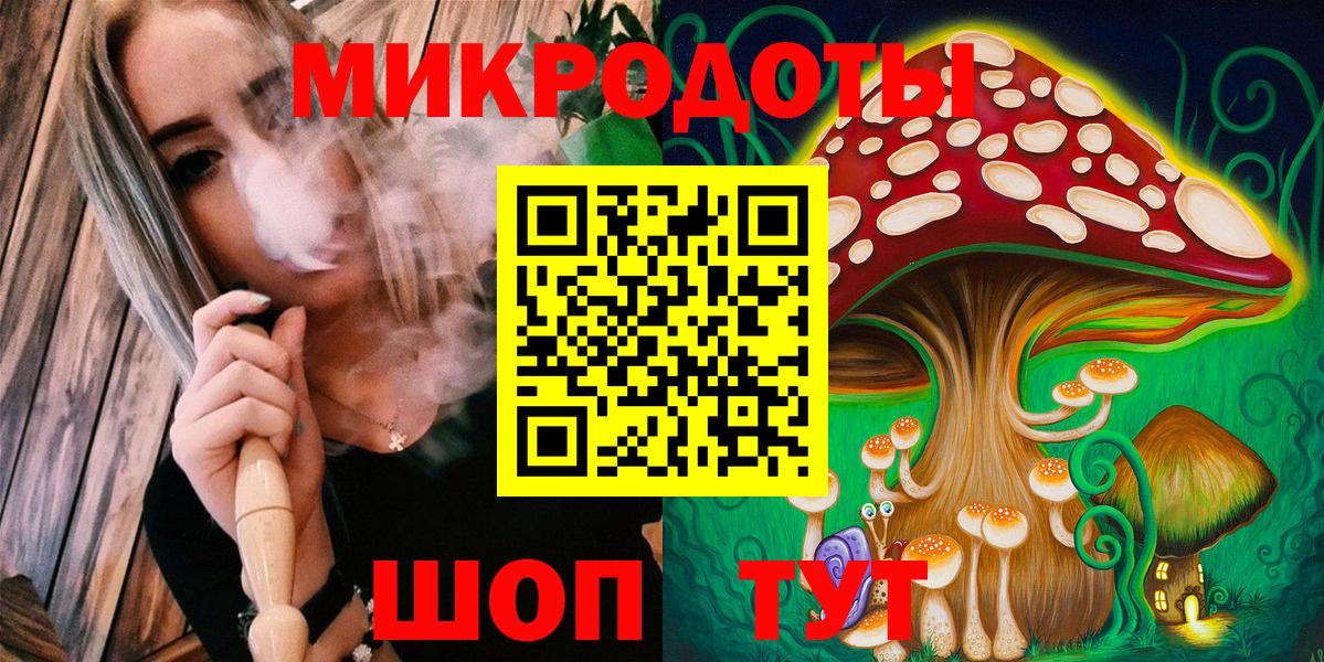 Псилоцибиновые грибы Psilocybe Муравленко