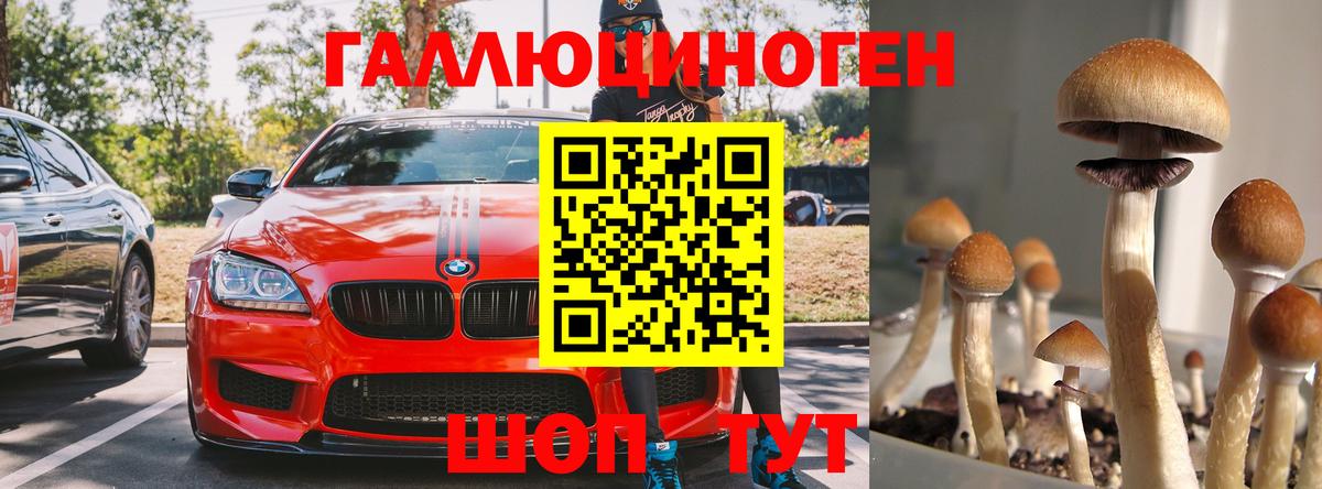 Псилоцибиновые грибы MAGIC MUSHROOMS  Вход с VPN  Псилоцибиновые грибы GOLDEN TEACHER  Муравленко 